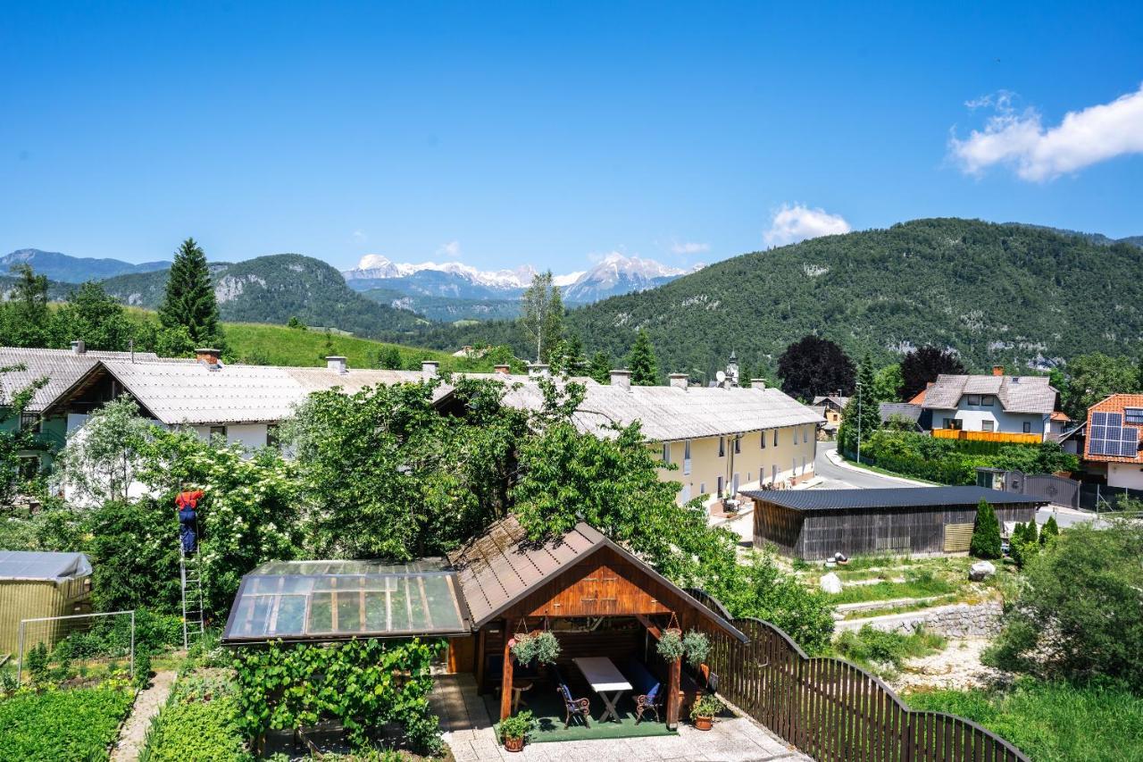 Apartmaji Alpski Cvet - Hisa Gorenc Bohinj Buitenkant foto