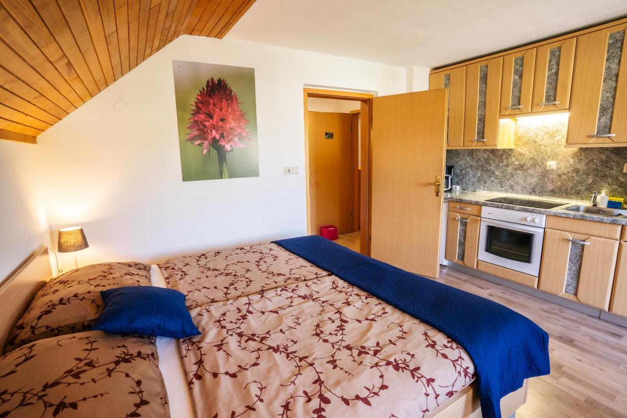 Apartmaji Alpski Cvet - Hisa Gorenc Bohinj Buitenkant foto