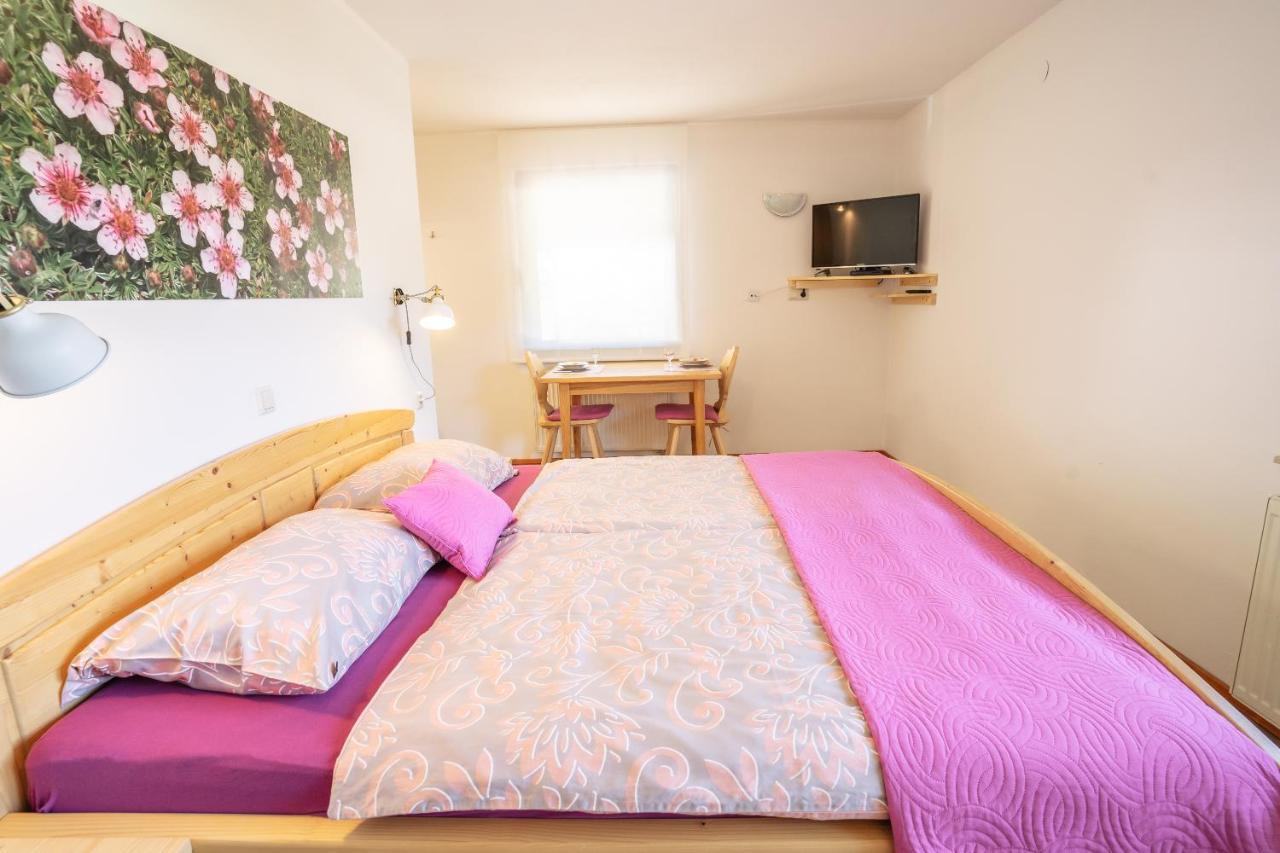 Apartmaji Alpski Cvet - Hisa Gorenc Bohinj Buitenkant foto
