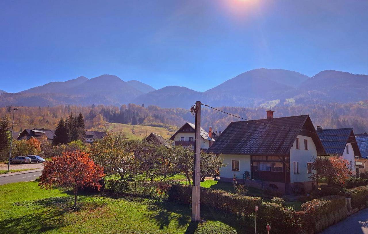 Apartmaji Alpski Cvet - Hisa Gorenc Bohinj Buitenkant foto