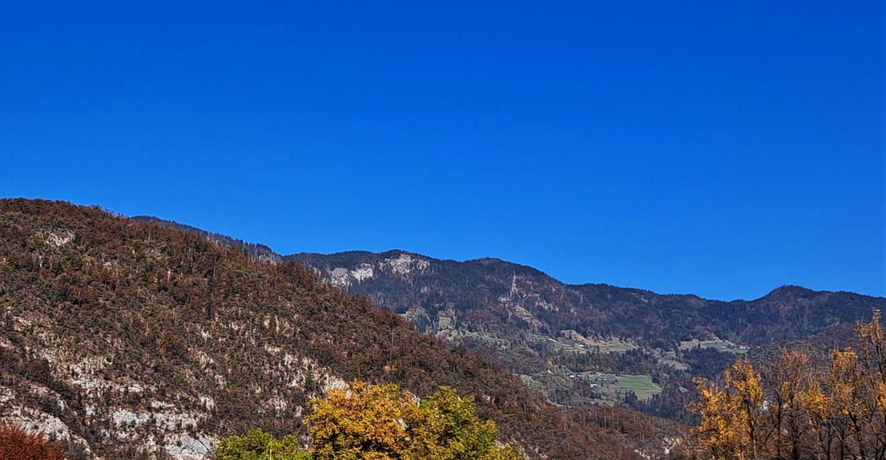 Apartmaji Alpski Cvet - Hisa Gorenc Bohinj Buitenkant foto