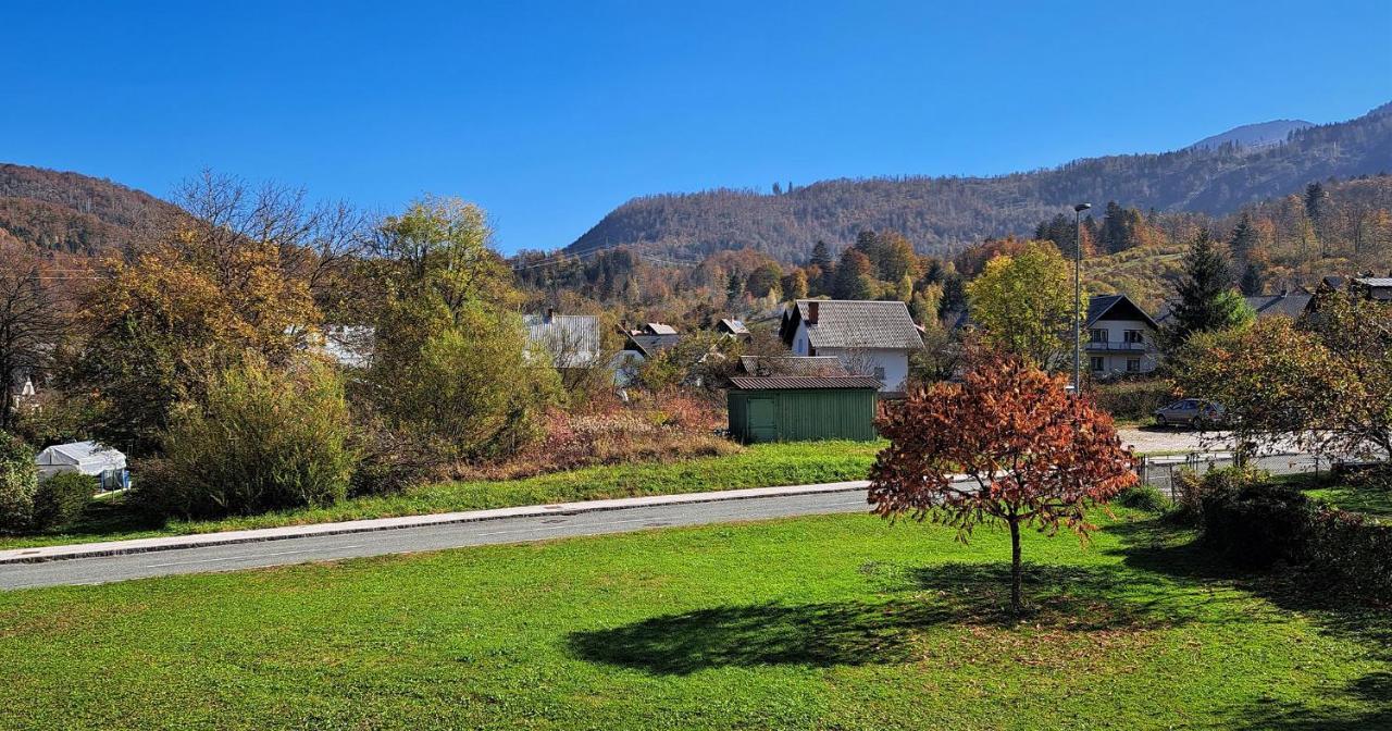 Apartmaji Alpski Cvet - Hisa Gorenc Bohinj Buitenkant foto