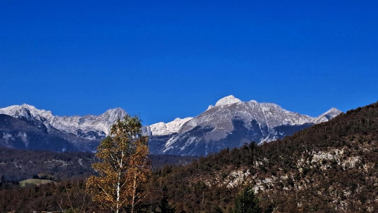 Apartmaji Alpski Cvet - Hisa Gorenc Bohinj Buitenkant foto