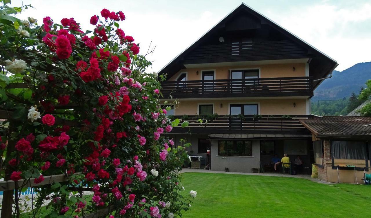 Apartmaji Alpski Cvet - Hisa Gorenc Bohinj Buitenkant foto