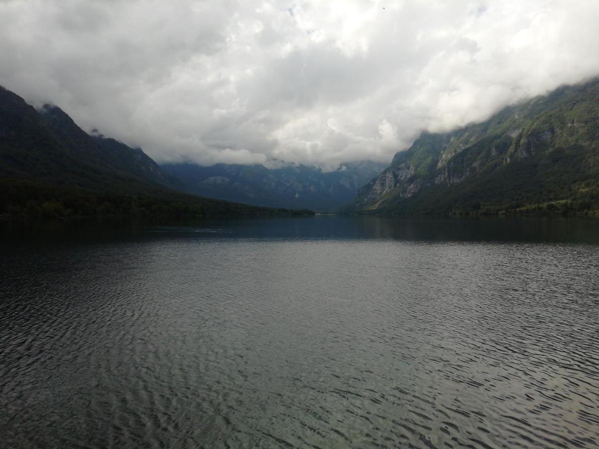 Apartmaji Alpski Cvet - Hisa Gorenc Bohinj Buitenkant foto