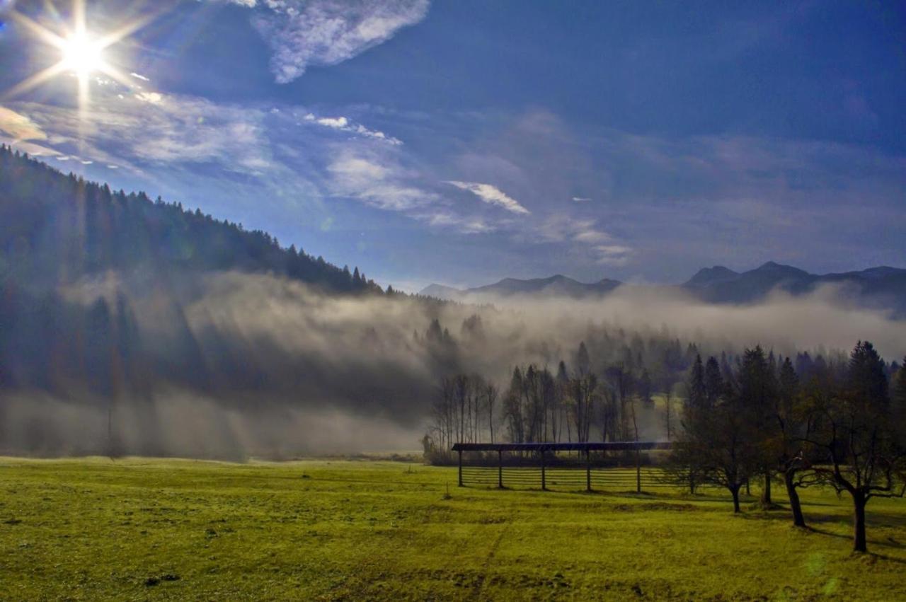 Apartmaji Alpski Cvet - Hisa Gorenc Bohinj Buitenkant foto
