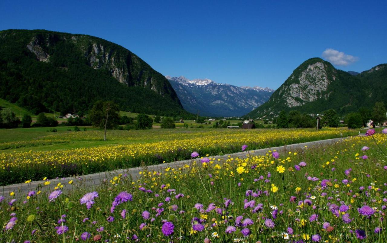 Apartmaji Alpski Cvet - Hisa Gorenc Bohinj Buitenkant foto
