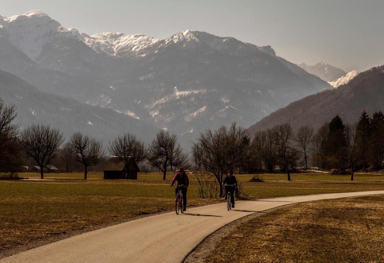 Apartmaji Alpski Cvet - Hisa Gorenc Bohinj Buitenkant foto