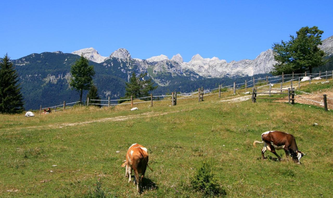 Apartmaji Alpski Cvet - Hisa Gorenc Bohinj Buitenkant foto
