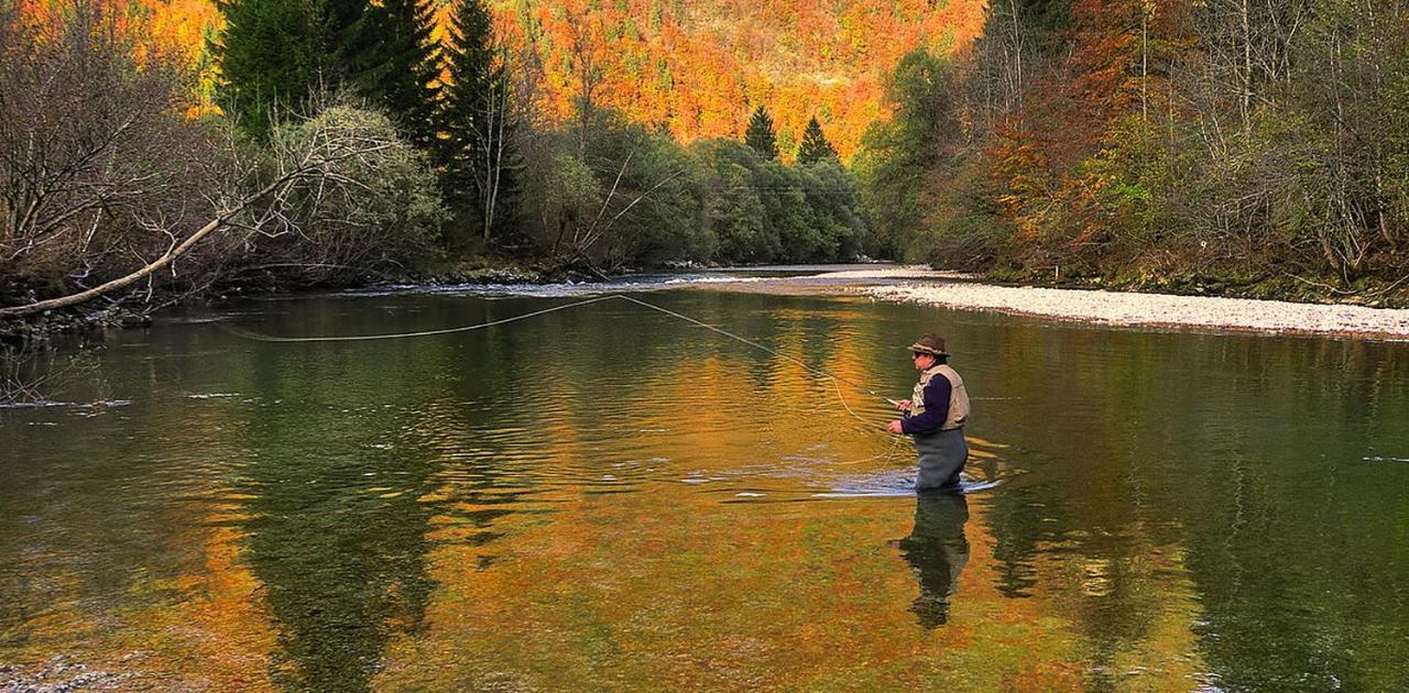 Apartmaji Alpski Cvet - Hisa Gorenc Bohinj Buitenkant foto