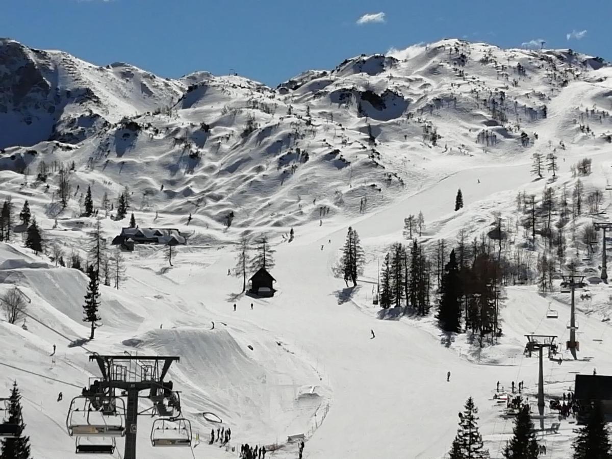 Apartmaji Alpski Cvet - Hisa Gorenc Bohinj Buitenkant foto