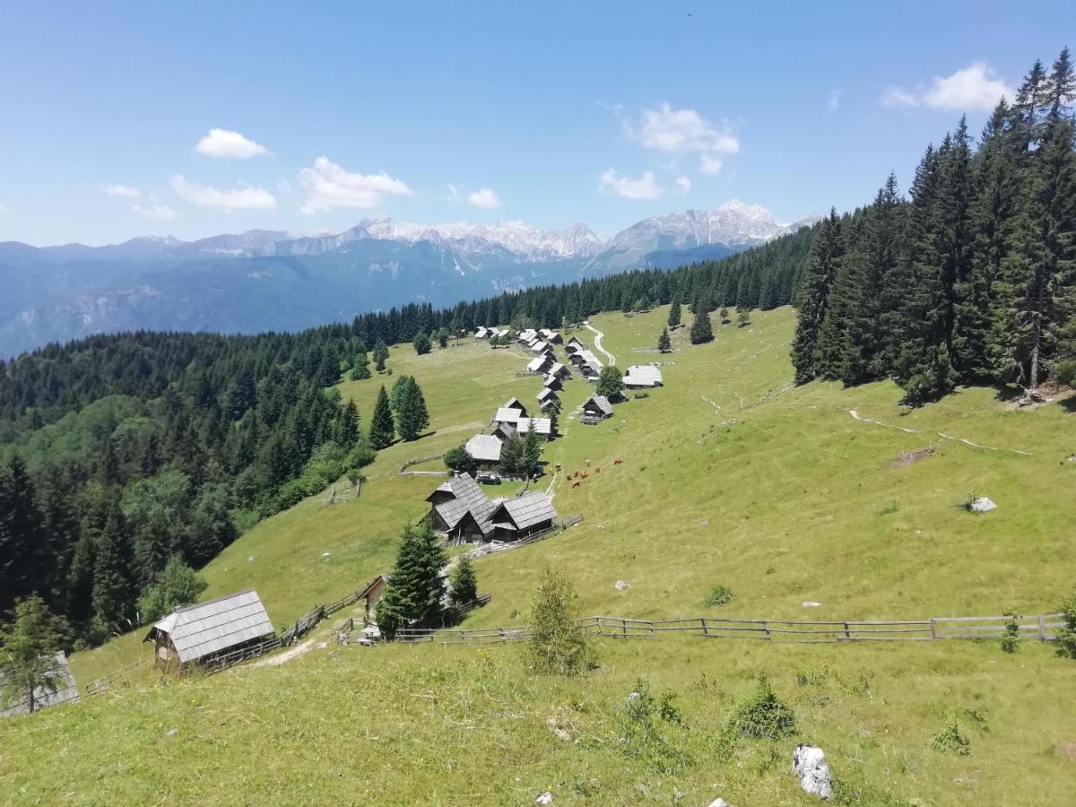 Apartmaji Alpski Cvet - Hisa Gorenc Bohinj Buitenkant foto