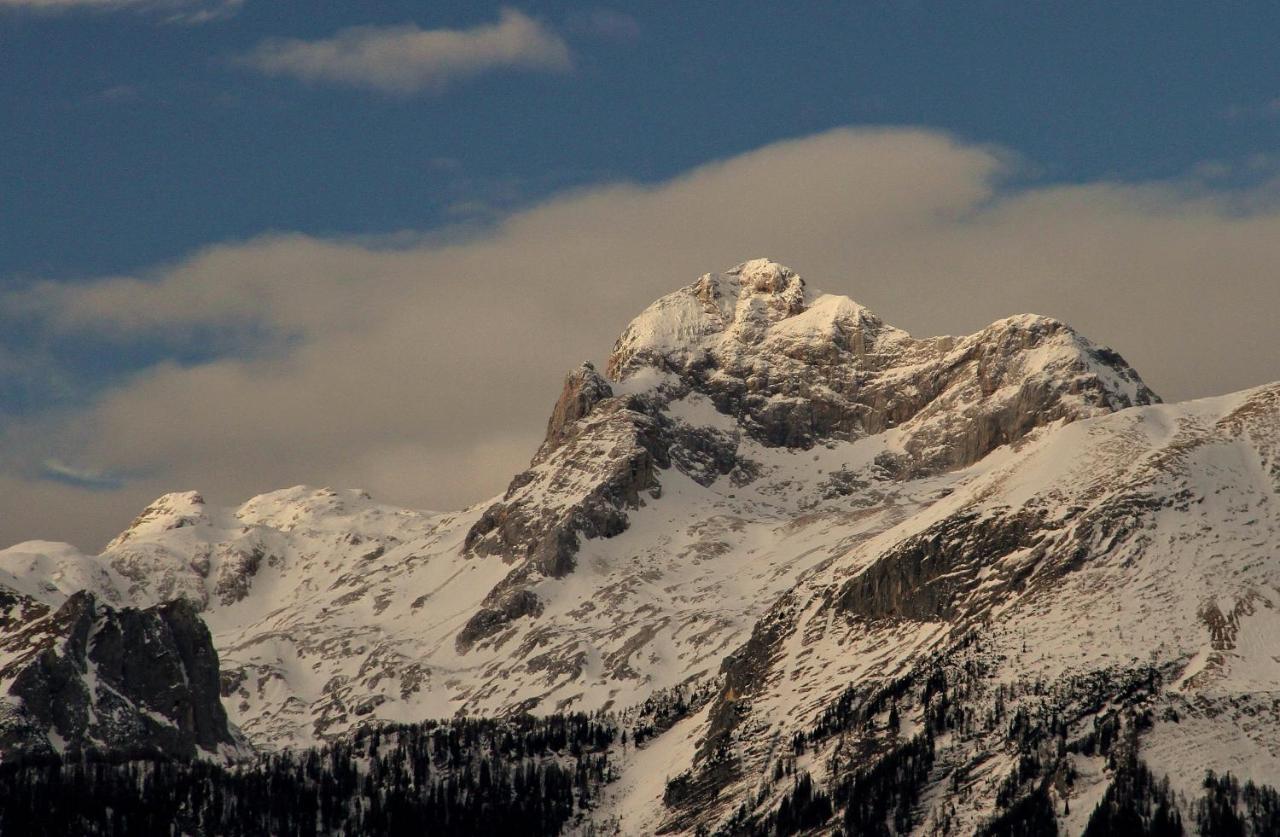 Apartmaji Alpski Cvet - Hisa Gorenc Bohinj Buitenkant foto
